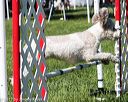 20170520-neat-0464