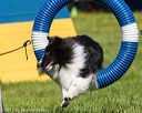 20170520-neat-0477