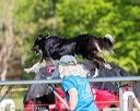 20170520-neat-0601