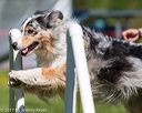 20170520-neat-0644