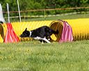 20170520-neat-0658