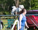20170520-neat-0017