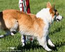 20170520-neat-0036