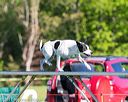 20170520-neat-0084