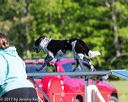20170520-neat-0092