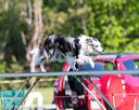 20170520-neat-0098