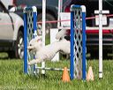 20170520-neat-2479
