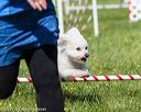 20170520-neat-2481