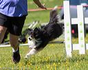 20170520-neat-2496
