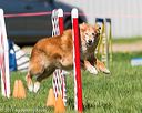 20170520-neat-2529