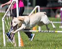20170520-neat-2569
