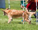 20170520-neat-1415