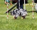 20170520-neat-1419
