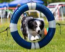 20170520-neat-1435