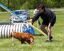 20170520-neat-1445