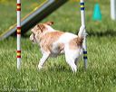 20170520-neat-1468