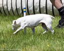 20170520-neat-1482