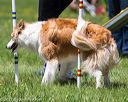 20170520-neat-1487