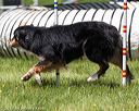 20170520-neat-1501