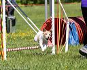 20170520-neat-0698