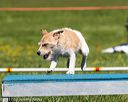 20170520-neat-0702