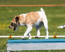 20170520-neat-0704