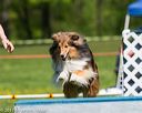20170520-neat-0739