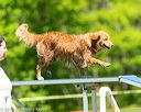 20170520-neat-0780