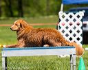 20170520-neat-0788