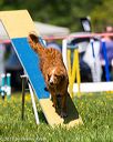20170520-neat-0794