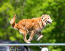 20170520-neat-0813