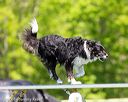 20170520-neat-0831
