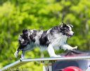 20170520-neat-0851