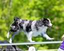 20170520-neat-0852