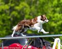 20170520-neat-0890