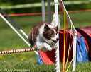 20170520-neat-0896