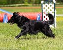 20170520-neat-0927