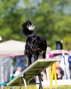 20170520-neat-0928