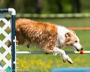 20170520-neat-0939