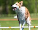 20170520-neat-0941