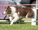 20170520-neat-2731