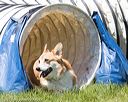 20170520-neat-1234