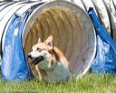 20170520-neat-1235