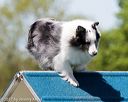 20170520-neat-1180
