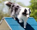 20170520-neat-1182