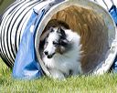20170520-neat-1187