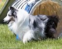 20170520-neat-1190