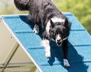 20170520-neat-1217