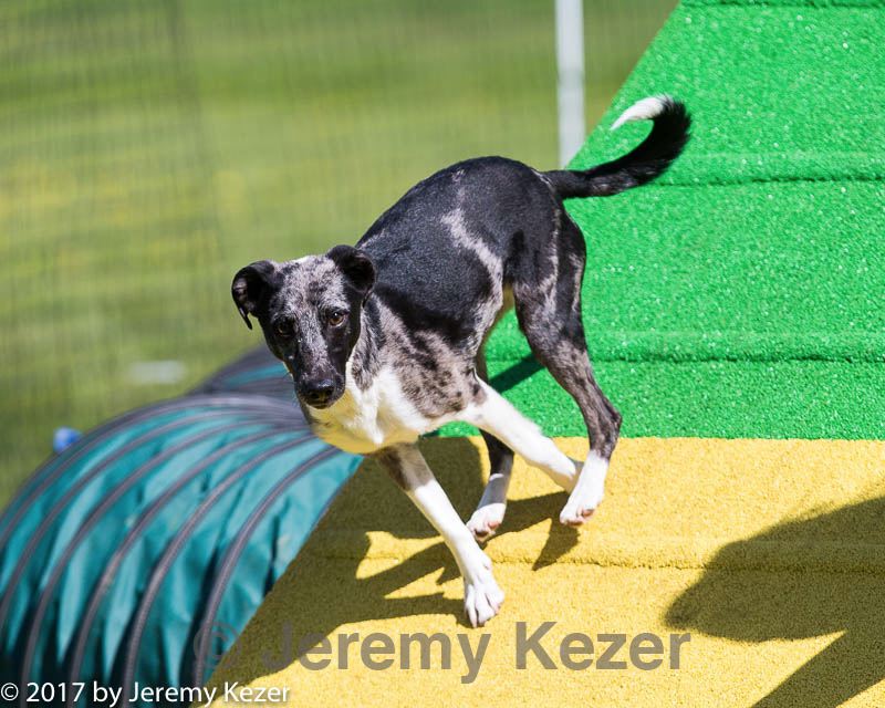 20170521-neat-0269.jpg