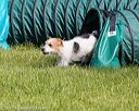 20170521-neat-0222